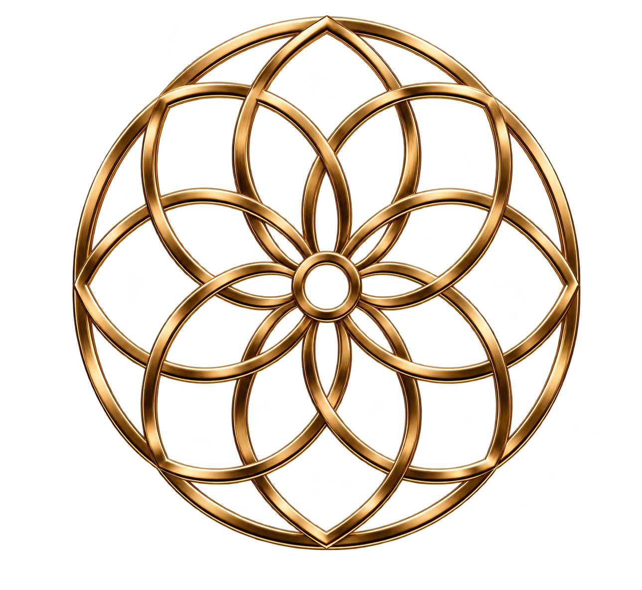 The Longevity Clinic